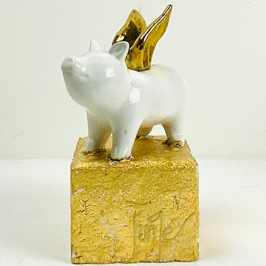 Flying pig