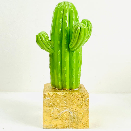 Green cactus