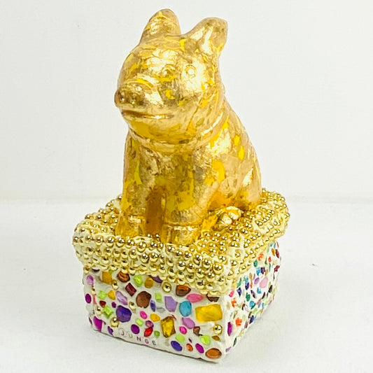 Yellow piggy