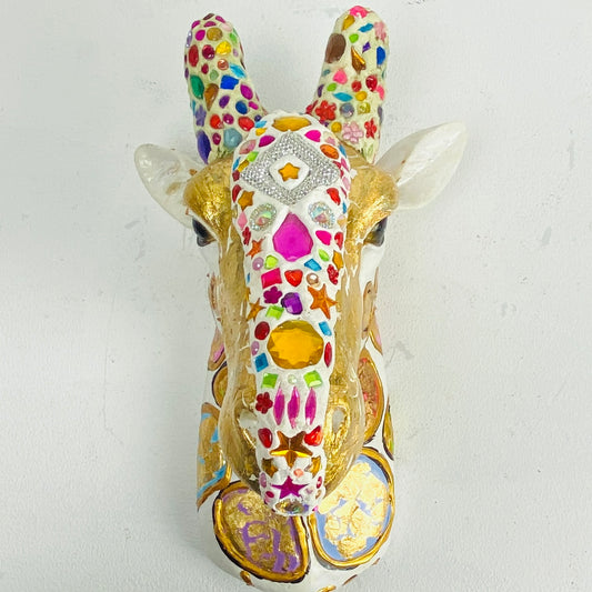 Dazzling giraffe