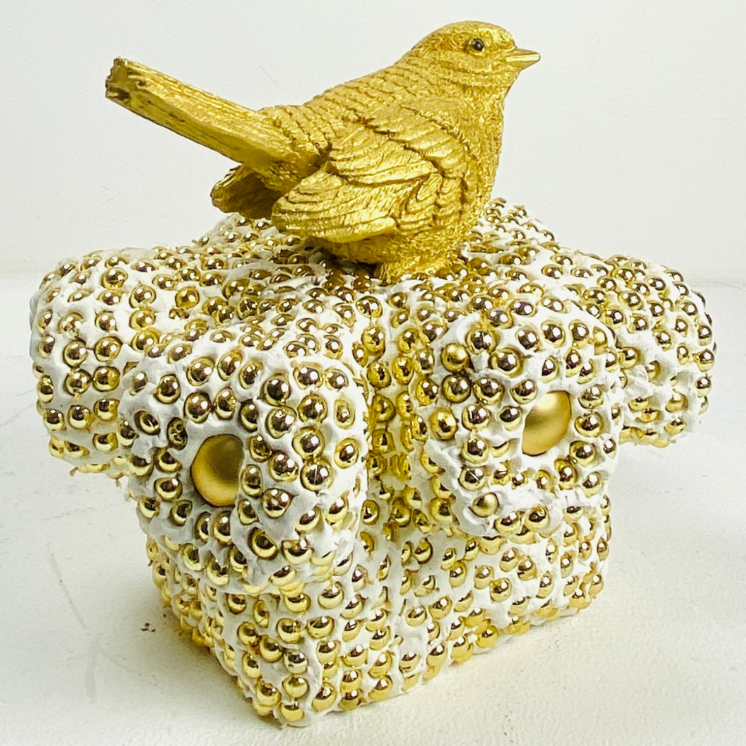 Little sparrow