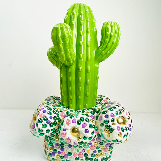 Spiky cactus