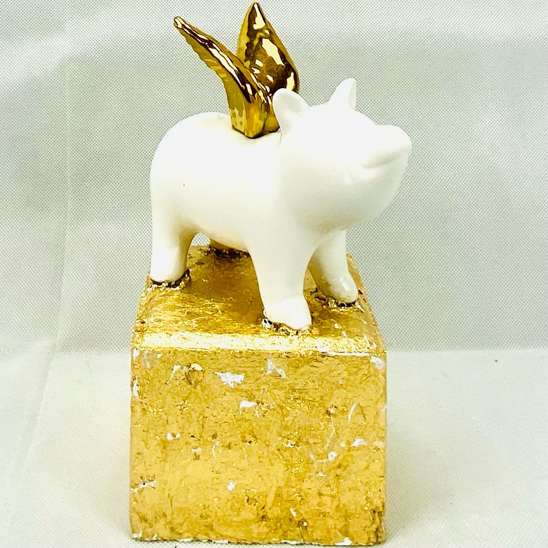 Flying pig