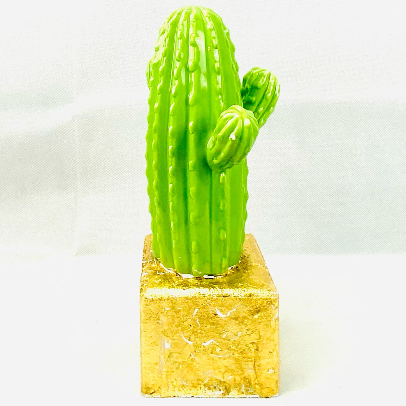 Green cactus