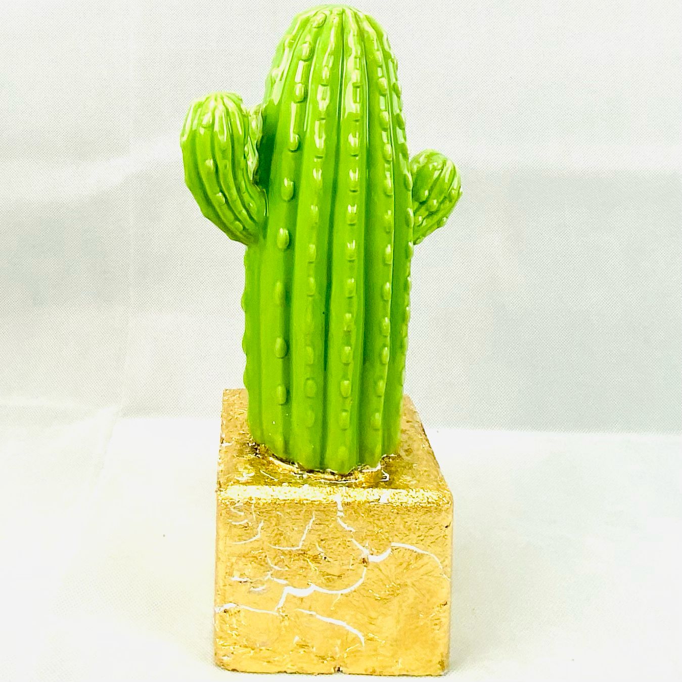 Green cactus