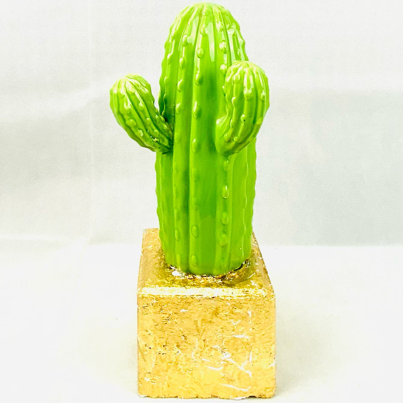 Green cactus